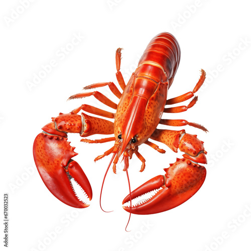 Lobster made with generative AI - transparant background - png
