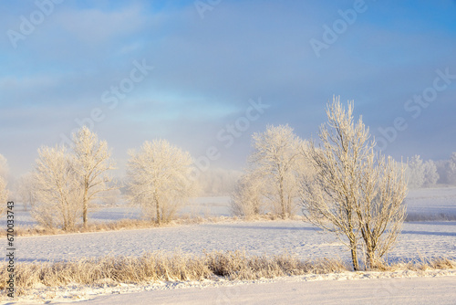 Frosty countryside landscape on a cold winter day