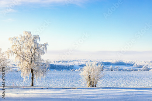 Frosty trees by the roadside in a beautiful winter landscape