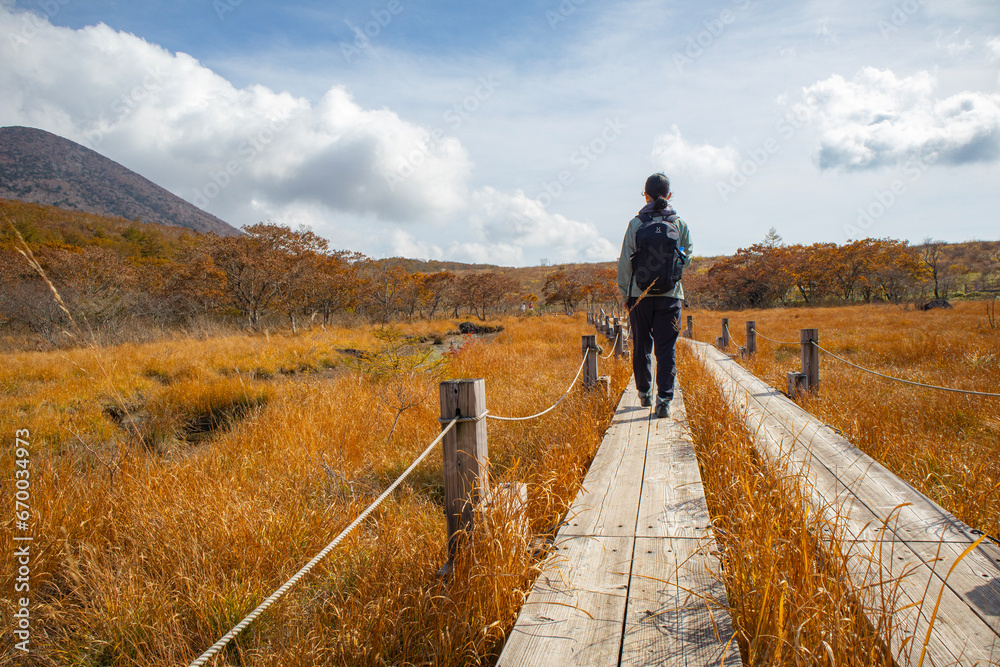 秋の那須高原沼原湿原を歩く女性