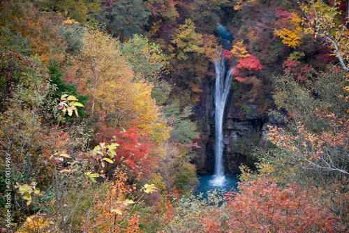 紅葉と駒止の滝