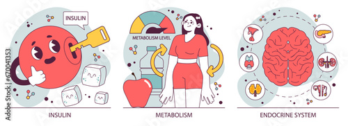 Endocrine system organs and disease set. Human glands function. Pituitary, adrenal and thyroid gland. Human hormones secretion and. balance. Metabolism regulation. Flat vector illustration