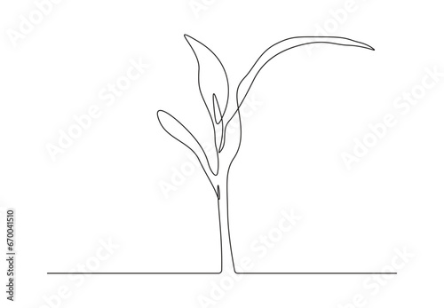 Continuous single line drawing lemon grass. Vegetable concept. Isolated on white background vector illustration. Pro vector. 
