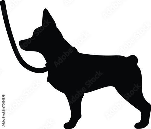 Simple and cute silhouette of Doberman Pinscher with a leash on in side view