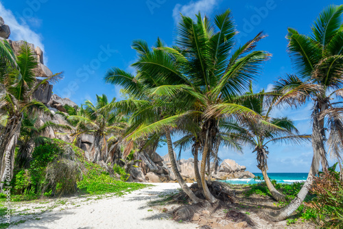 Granite rocks and palm trees on the scenic tropical beach of Grand Anse  La Digue island  Seychelles