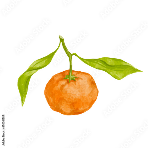 Ripe citrus fruit of tangerine. Vector graphics.
