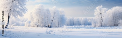 panoramic photo of the trees covered with snow in the Snowland © Muhammad_Waqar