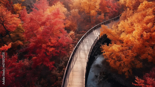 Autunm natural forest background, Maple leaves fall, Beautiful season, Generative Ai. photo