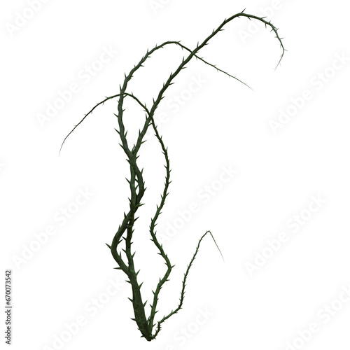 A 3d rendered illustration of thorny branches as an overlay 