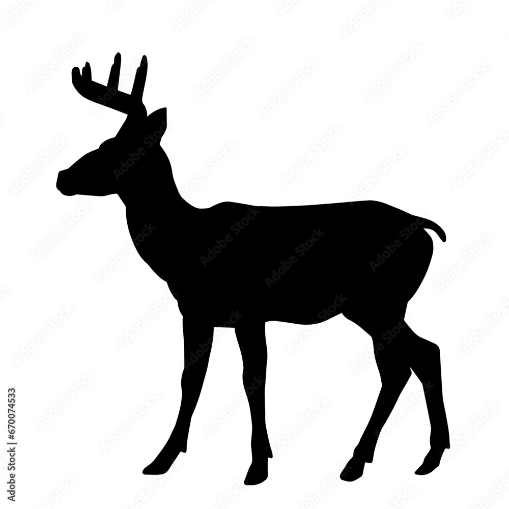 Obraz premium Silhouette of a deer wild forest animal with antlers.