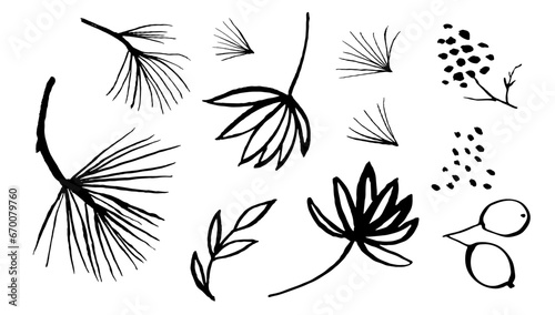 Hand drawn tree branches and leaves vector set. Ink drawing cedar and palm tree. Brush painted botanical elements. Black and white floral artistic collection. Leaves, needles, berries.