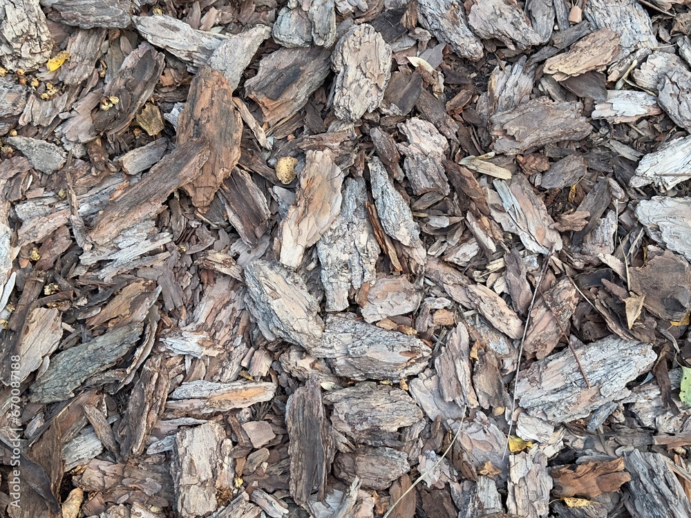 Tree bark decorative texture. Lots of old tree bark. Shredded brown tree bark for decoration and soil mulching or for a playground. Tree bark decorative texture. Lots of old tree bark. Shredded brown tree bark for decoration and soil mulching or for a playground.