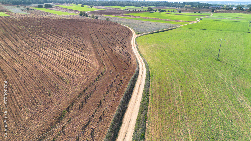 Aerial view of Ribera del Duero's vineyards in late winter, a breathtaking landscape.