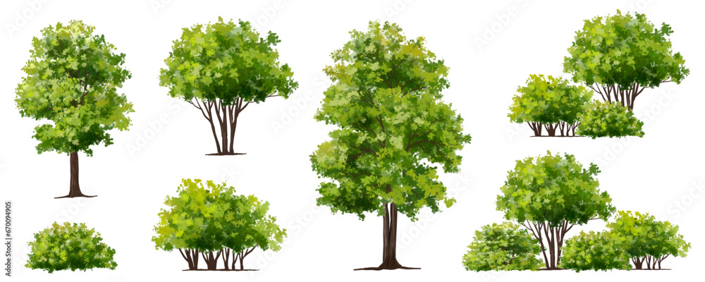 Vector watercolor green tree or forest side view isolated on white background for landscape and architecture drawing,elements for environment or garden,botanical element for exterior section in spring - obrazy, fototapety, plakaty 