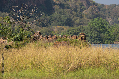 View of ruins on the island on Padam Talao lake. Photo from Ranthambore National Park  Rajasthan  India.