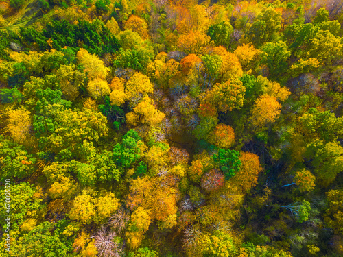 Colourful autumn forest form above, captured with a drone. Natural seasonal landscape background.
