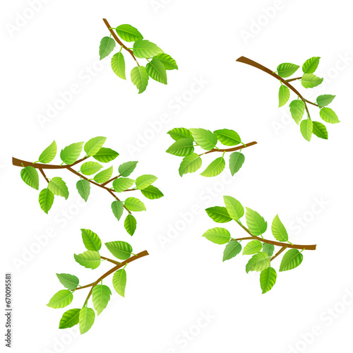 green leaves isolated on white available Set of watercolor green leaves elements. Collection botanical vector isolated on white background suitable for Wedding Invitation.