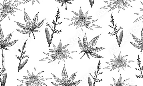 Abstract seamless pattern with plants and leaves on a light background. Black and white weed leaves banner. Textile print, fabric print, pillow cover, table cloth, textile weaving. Marijuana logo.