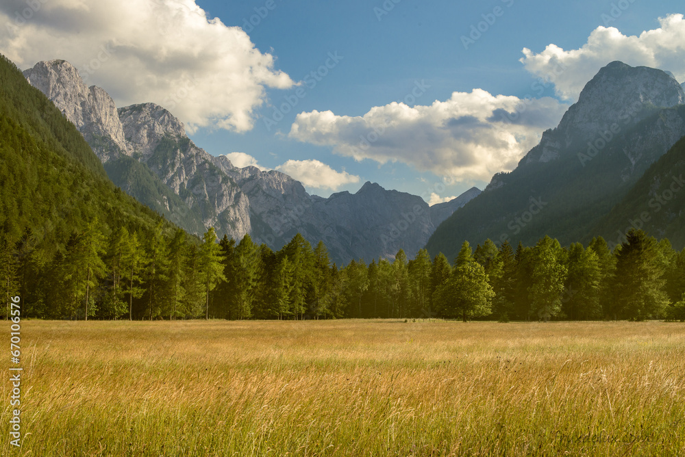 alpine meadow in the mountains - obrazy, fototapety, plakaty 
