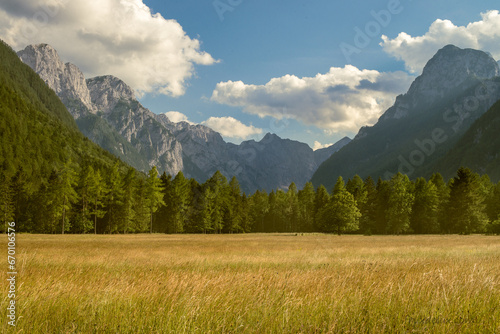 alpine meadow in the mountains