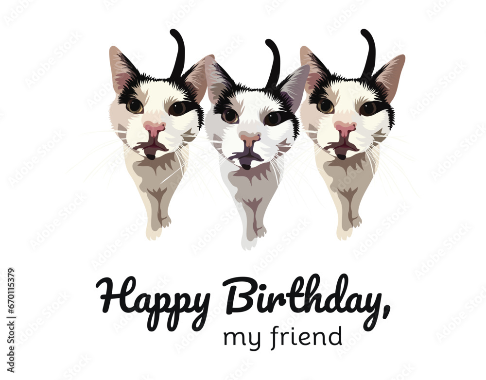 Happy birthday, my friend card. Present for a cat lover. Funny cartoon curious cat illustration. Minimalistic birthday card with three cats, text. Holiday present, feline topic. Top view illustration.