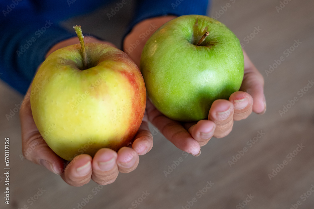 The woman holds fruits in her hand. The girl holds an apple. Apples in woman's hands. Green apples. The woman holds fruits in her hand. The girl holds an apple. Apples in woman's hands. Green apples.