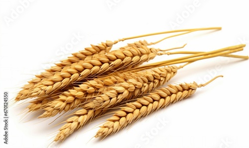 Three stalks of wheat on a white background