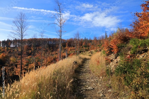 Fototapeta Naklejka Na Ścianę i Meble -  Autumn hike in Beskid Zywiecki, Poland