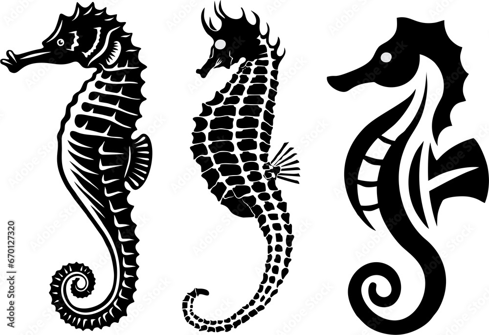 Set of seahorses in high HD resolution. Collection of seahorse isolated on white background.  Wildlife, sea life or water life theme. - obrazy, fototapety, plakaty 
