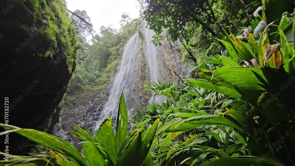 Montañas de Panamá, recurso hídrico, fauna y flora importante 