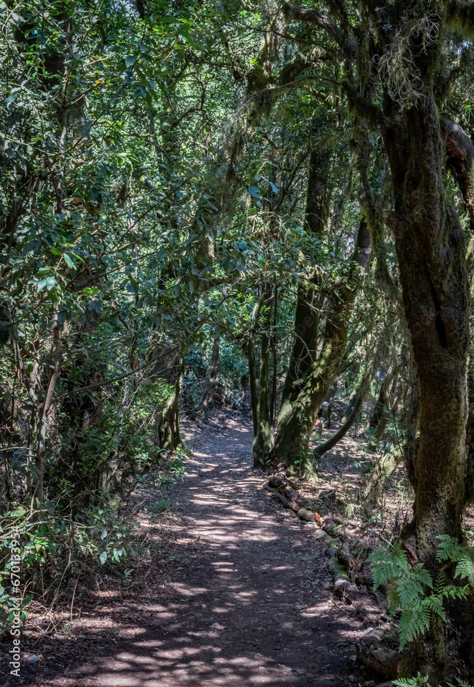 Views around La Gomera Island, The Caneries Views around La Gomera Island, The Caneries