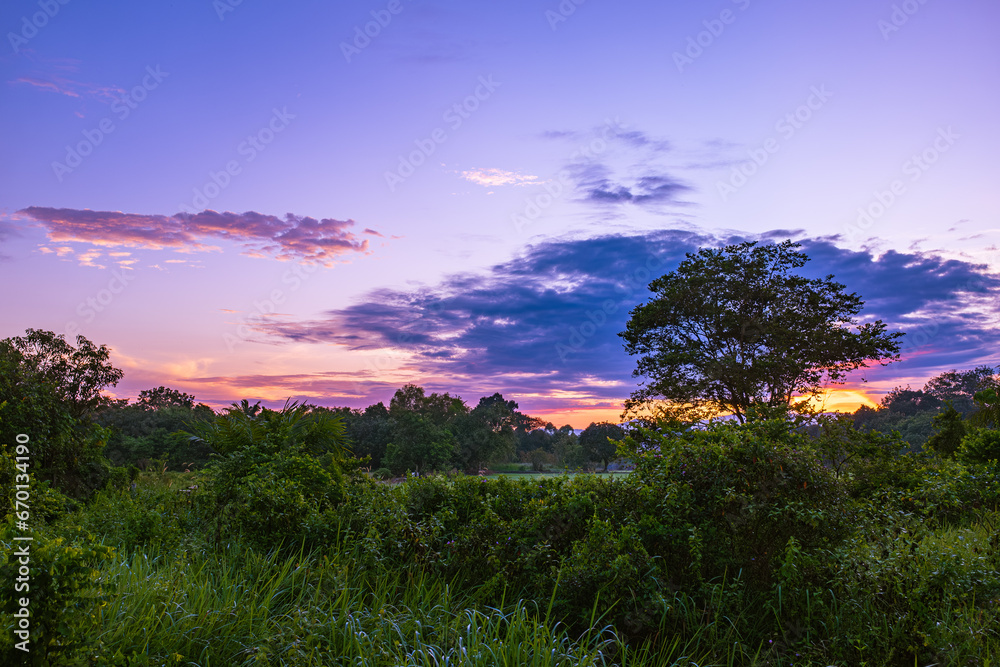 A tree Behind The Sunrise and Purple Skies 1 A tree Behind The Sunrise and Purple Skies 1