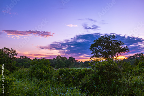 A tree Behind The Sunrise and Purple Skies 1