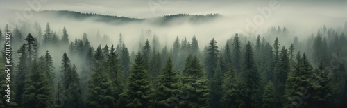 Forest background with fog around trees  dark green panorama. Walpaper background. gernerative ai