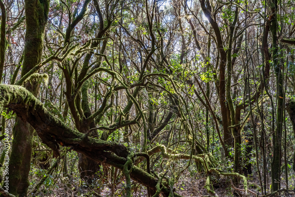 Views around La Gomera Island, The Caneries Views around La Gomera Island, The Caneries