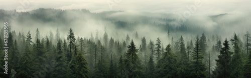 Forest background with fog around trees  dark green panorama. Walpaper background. Panorama gernerative ai
