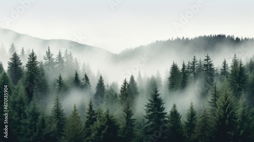 Forest background with fog around trees  dark green panorama. Walpaper background. Panorama  gernerative ai