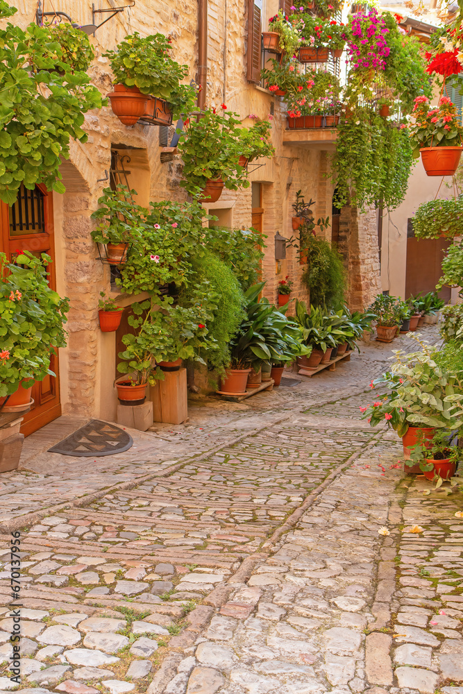 Floral streets in traditional italian medieval town of Spello, Perugia. Umbria region
