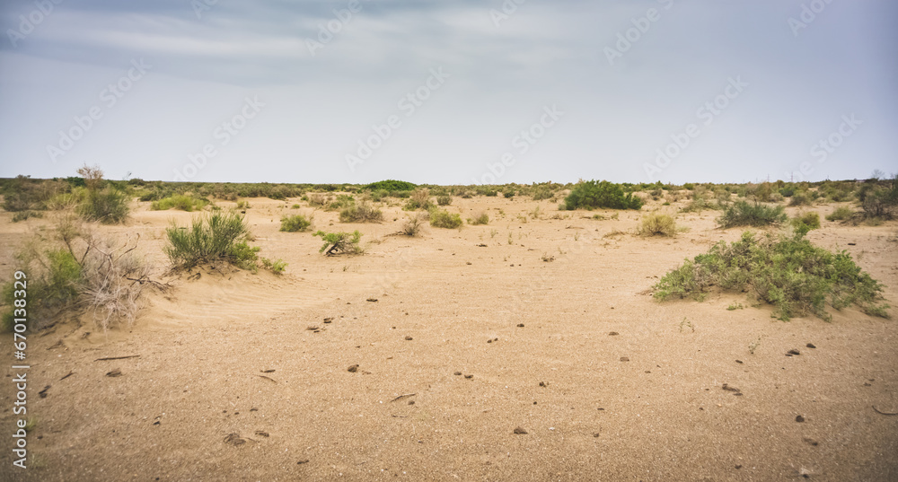 Desert and steppe with sand and steppe bushes on the site of the Dead Aral Sea