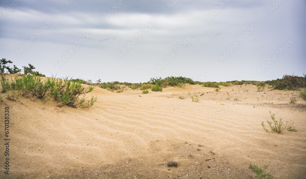 Desert and steppe with sand and steppe bushes on the site of the Dead Aral Sea Desert and steppe with sand and steppe bushes on the site of the Dead Aral Sea