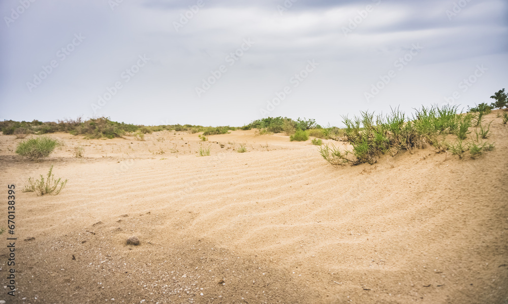 Desert and steppe with sand and steppe bushes on the site of the Dead Aral Sea