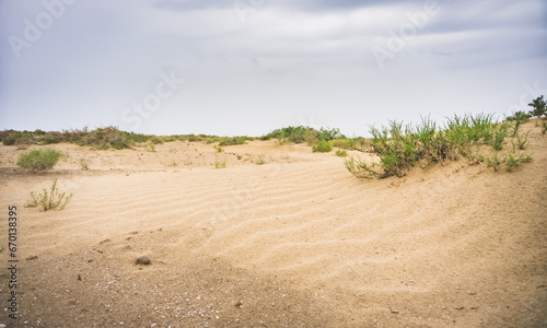Desert and steppe with sand and steppe bushes on the site of the Dead Aral Sea