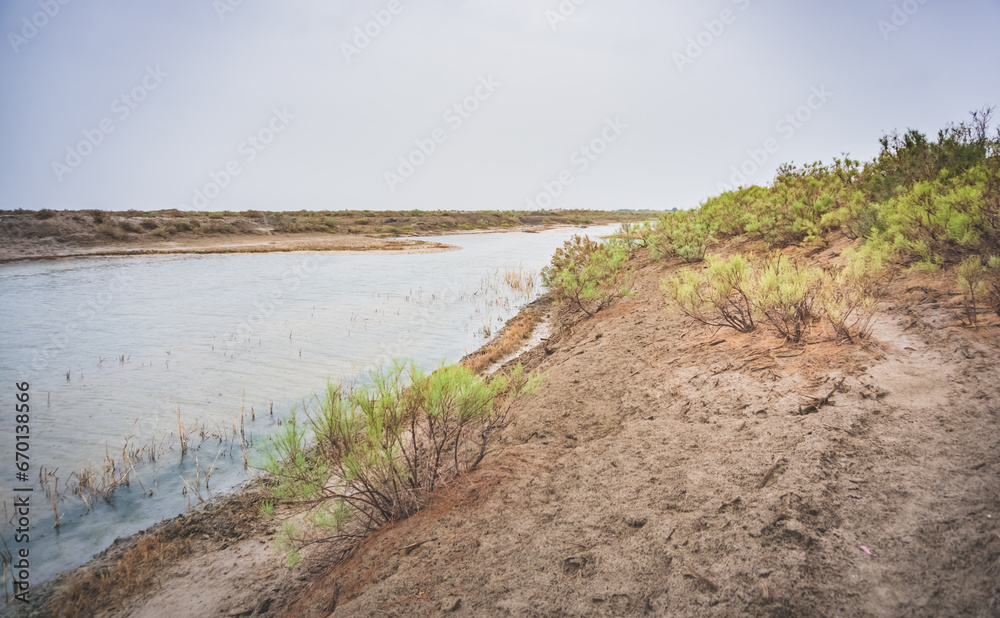 The Amudarya River flows along the bottom of the former sea in the desert on the site of the Dead Aral Sea The Amudarya River flows along the bottom of the former sea in the desert on the site of the Dead Aral Sea