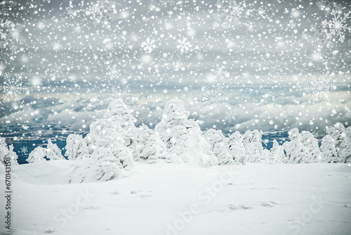 magical frozen winter landscape with snow covered fir trees © Melinda Nagy