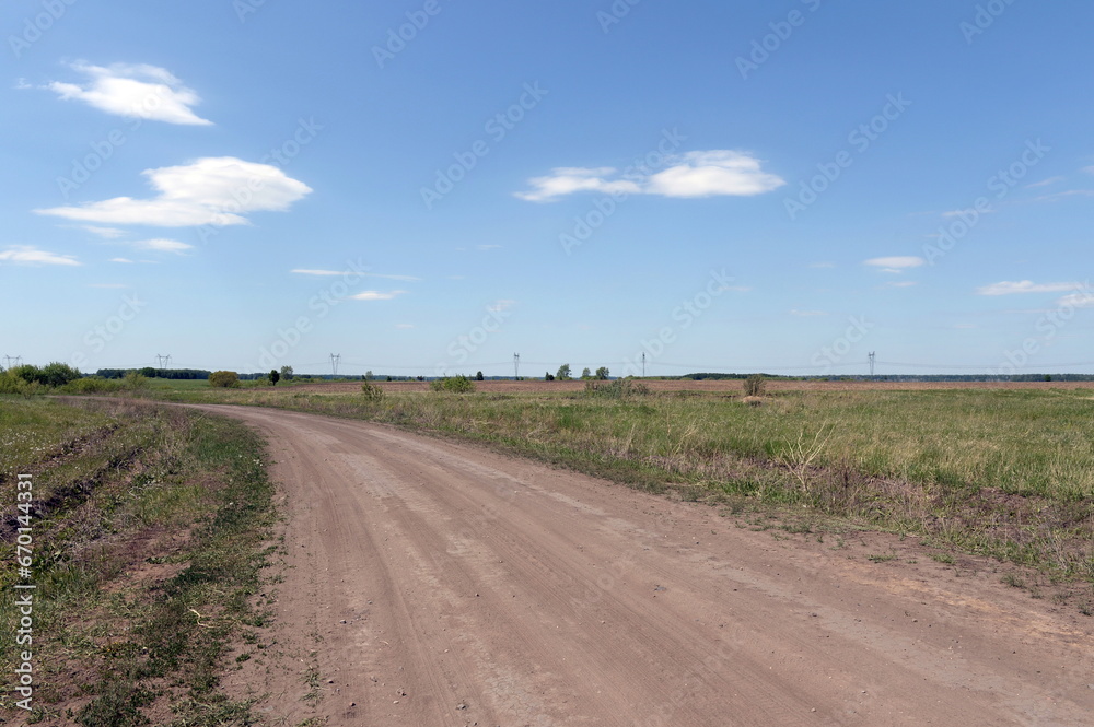 A rolled field road in the fields of the Rebrikhinsky district of the Altai Territory