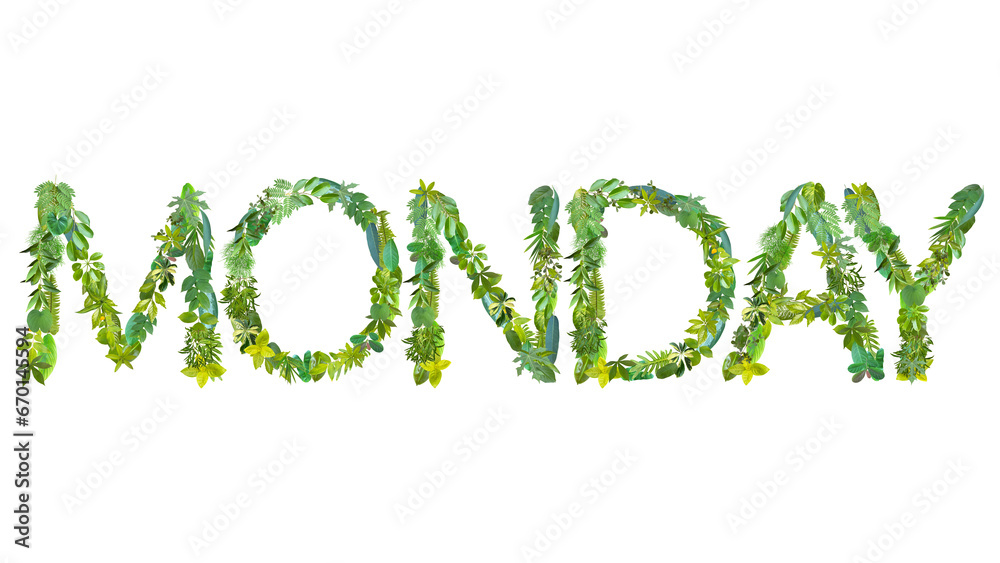 MONDAY, word or text made from various kinds of leaves isolated on transparent background, PNG, suitable for template design MONDAY, word or text made from various kinds of leaves isolated on transparent background, PNG, suitable for template design