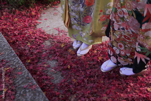 着物を着た女性の足元と紅葉
