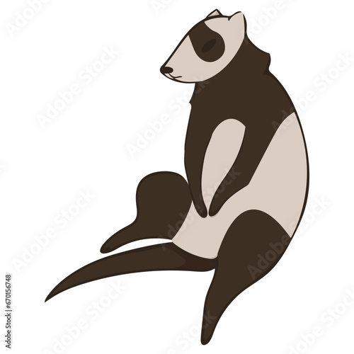 Cute ferret sitting. Image isolated on white background. Simple vector illustration of ferret. Design of brochures menu clothes stationery banners posters.