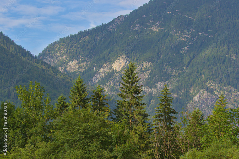Fototapeta premium The beauty and mystery of the mystical landscape in the Austrian Alps. Amazing mountains covered with dense forest. Mountain ranges with silhouettes of evergreen coniferous trees.