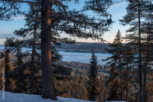 Magical winter landscape. Snow covered trees. Helsinki. Finland